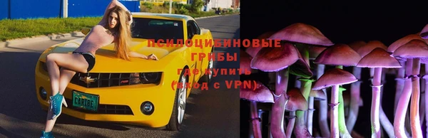 амф Алзамай
