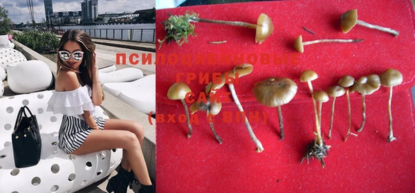 PSILOCYBIN Алексеевка