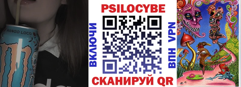 Псилоцибиновые грибы Psilocybe  Сасово 